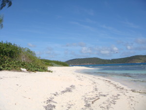 Lindquist Beach/Smith Bay Park is a gorgeous location for beach weddings in St. Thomas.