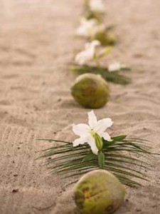 cocount palm aisle for destination wedding